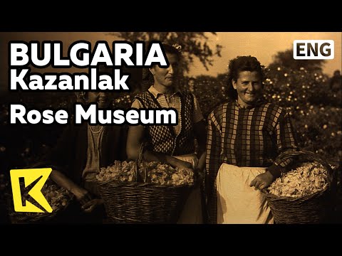【K】Bulgaria Travel-Kazanlak[불가리아 여행-카잔루크]장미 박물관/Rose Museum/Oil