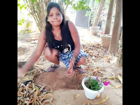 My garden work vlog || Soma Stuffs 🔥🔥