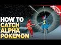 How To Catch Alpha Pokemon in Pokemon Legends Arceus