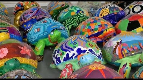 Young Tortoise Trail Launch