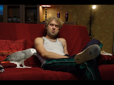 Говорящий попугай  Жако Бендер Громов говорит #попугайжако #говорящийпопугай