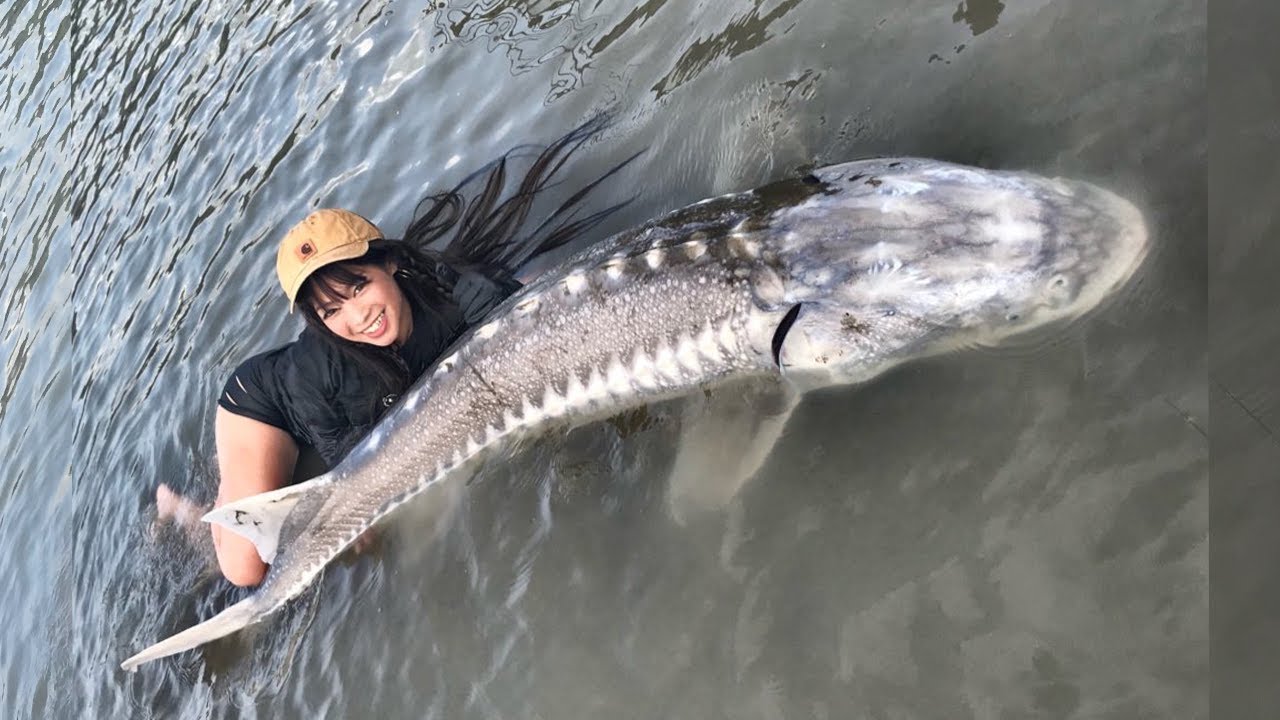 元olの怪魚ハンターが巨大魚とカナダで闘う マルコス ルアマガプラス