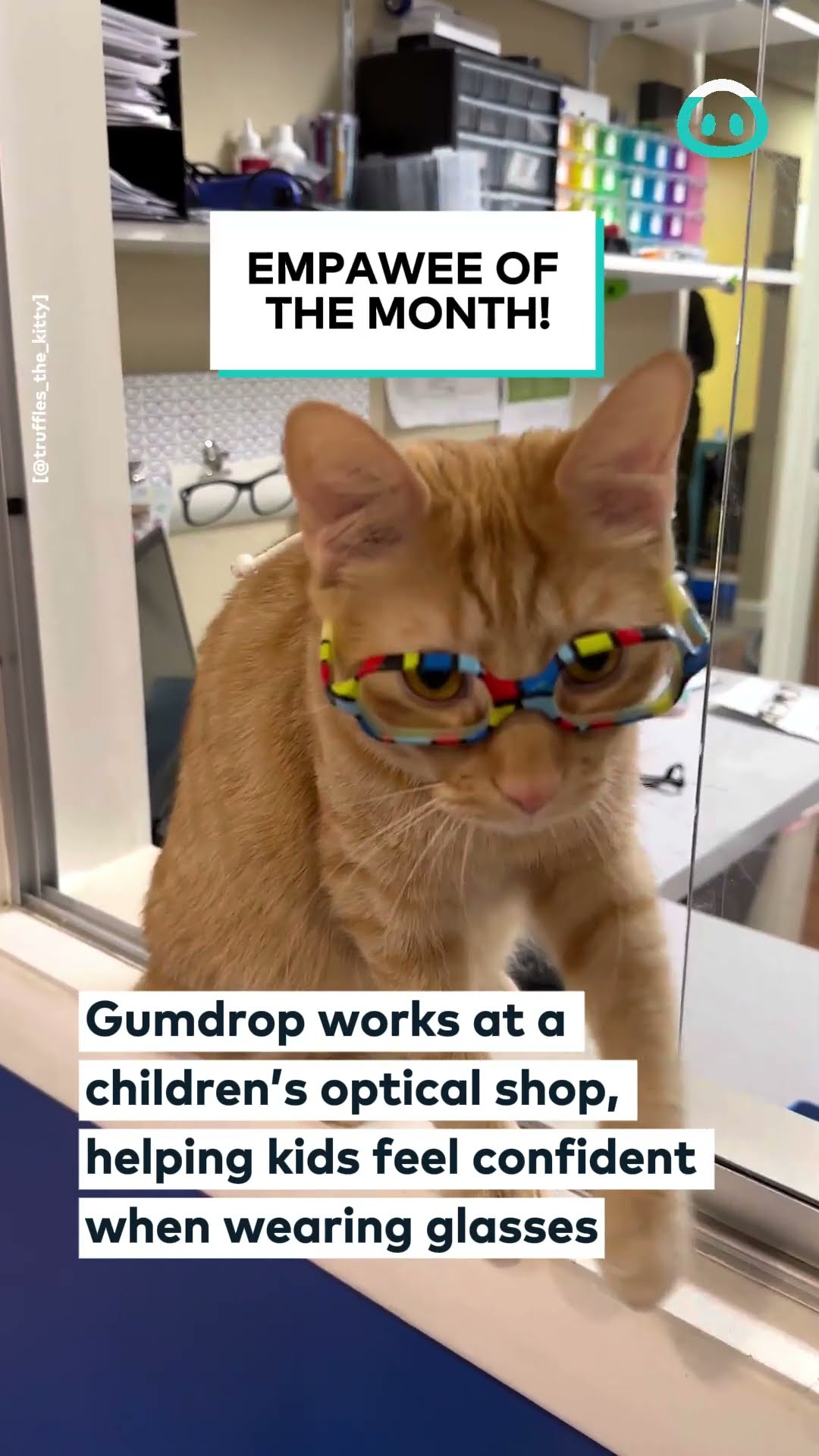 Cat Helps Kids Feel More Confident  || ViralHog