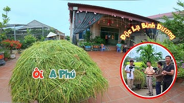 Đi Xin Được Rơm Về Làm Nhà Tranh Vách Đất Thì Bất Ngờ A Phú Độc Lạ Bình Dương Ghé Thăm / Quế Nghịch