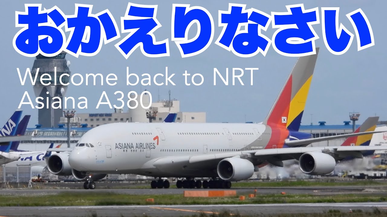 Resumption of operations 2023.6.1] Welcome back Asiana Airlines A380 for a  limited time.