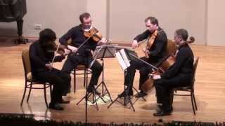 Schumann - String Quartet Op. 41 No. 3 - ZAGREB QUARTET Profile