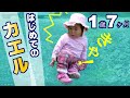 【面白】はじめてのカエル－1歳7ヶ月の赤ちゃん The day the baby saw the frog for the first time