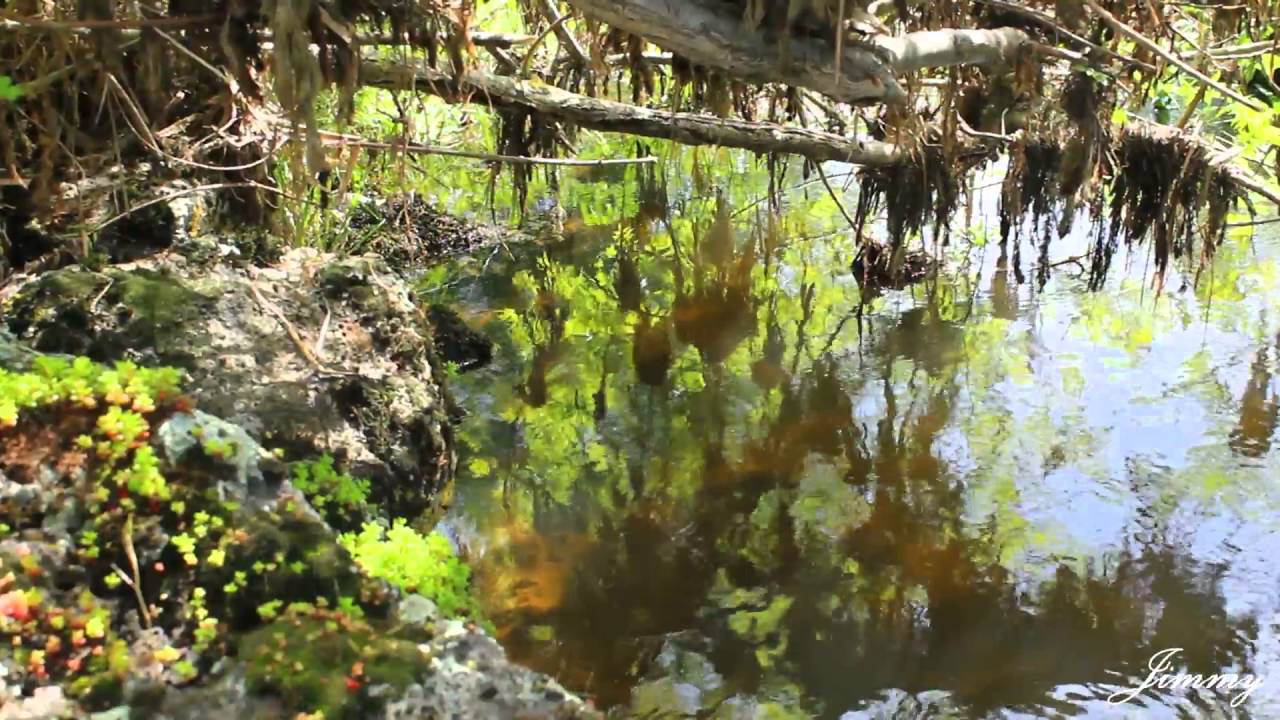 Mores - Before I Leave This World - Promo