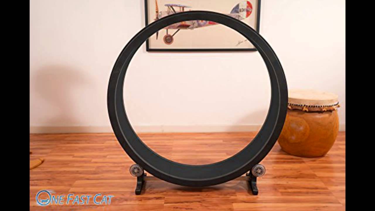 Cat Exercise Wheel Black - YouTube