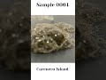 Sand Sample 0004 -- Carenero Island, Panama