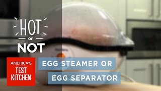 Celebrity Hot or Not: Electric Egg Cookers, Egg Separators Profile