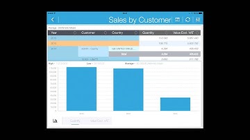 BIView Mobile - Quick tutorial | Business intelligence tool