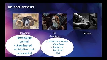 Understanding the halal sector