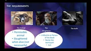 Understanding the halal sector