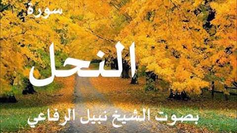 سورة النحل بصوت الشيخ نبيل الرفاعي