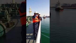 Precision Docking: Container Ship Arrival at Busy Port