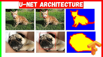 🐶 U-Net for Image Segmentation | TensorFlow & Oxford Pet Dataset | Hindi