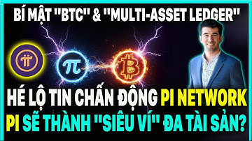 Tin Chấn Động Pi Network: Bí Mật "BTC" & "Multi-Asset Ledger" Hé Lộ | Bước Ngoặt Lịch Sử Của Pi?