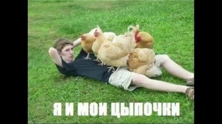 Смешные видео демотиваторы №19 Смешные видео демотиваторы №19