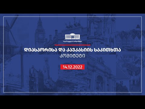 დიასპორისა და კავკასიის საკითხთა კომიტეტის სხდომა - 14.12.2022