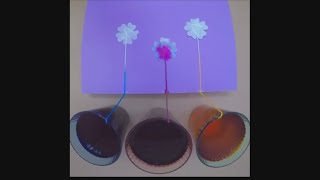 STEM Learning with TinkerActive Workbooks