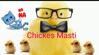 Chicken Masti | Funny Chickens Chasing Troll Babies and Kids|| Funny Baby And Pet