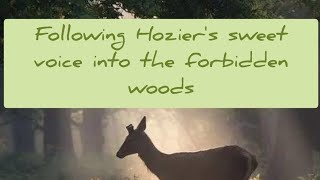 Download Lagu Following Hozier into the forbidden woods MP3 Download Lagu Following Hozier into the forbidden woods MP3