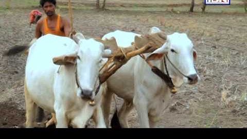 CNN IBN Smart Agriculture Ep 6 -Bt Cotton