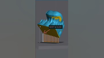 Inline Support: Discover Lychee Slicer