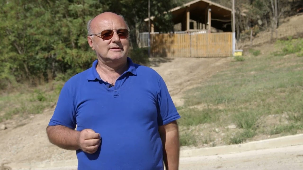 Uzgoj SVINJA rase MORAVKA na Fruškoj Gori - U nasem ataru 1070