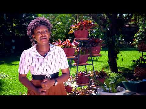 VUMILIA SIKAWA NG ANG ANA OFFICIAL VIDEO