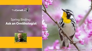 Spring Birding: Ask an Ornithologist