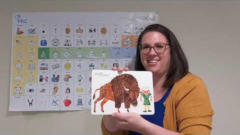 AAC Modeling of From Head to Toe with LAMP Words for Life