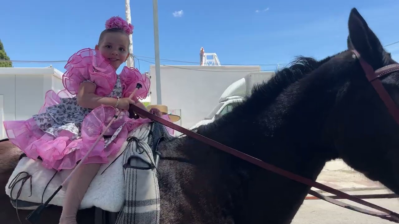 Concurso de Paseo a Caballos en el ferial de Los Barrios (II)