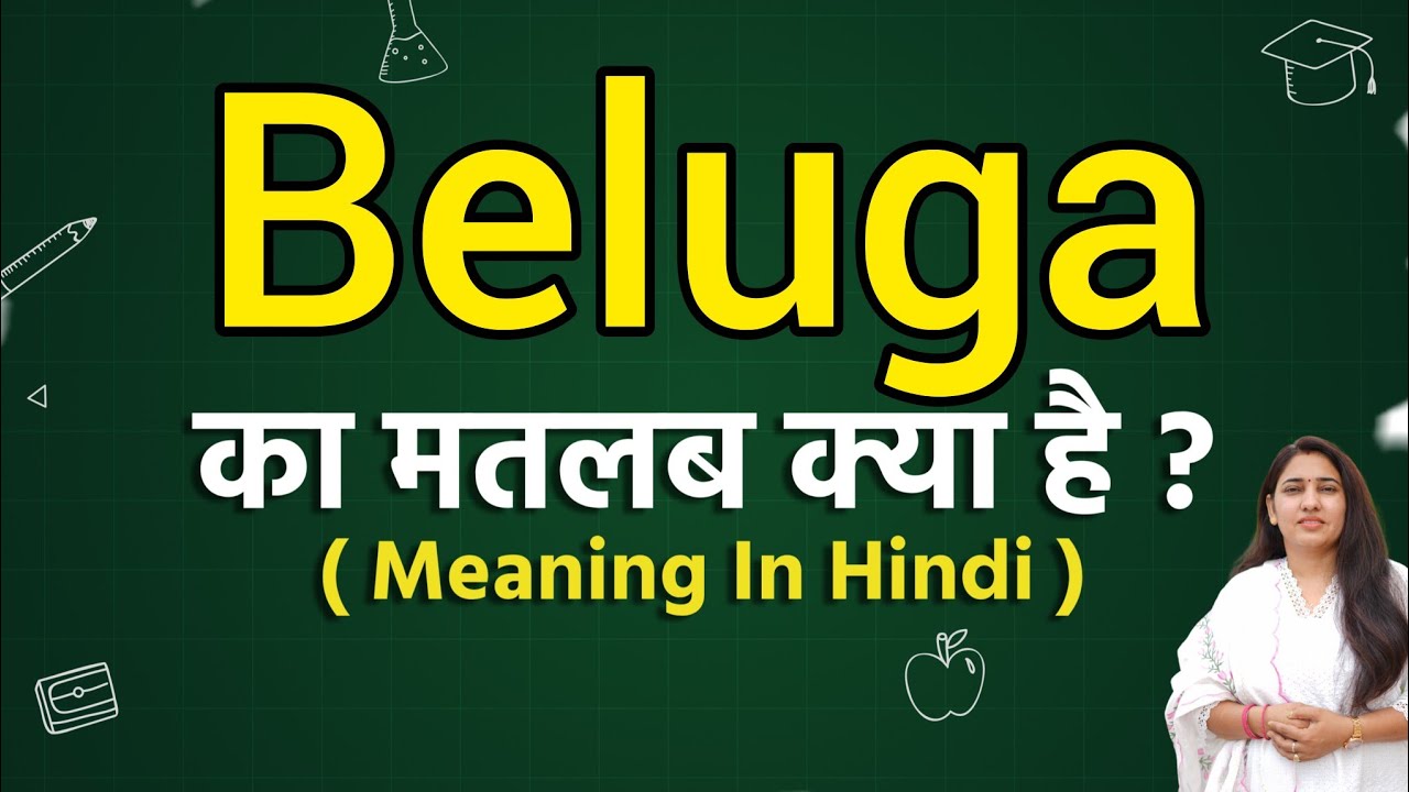 Beluga meaning in hindi | Beluga matlab kya hota hai | Word meaning