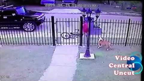Kid Vs Concrete Mailbox