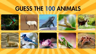 GUESS THE 100 ANIMALS IN 3 SECONDS
