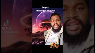 ingwe indlangamabala