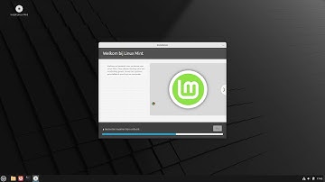Installatie Linux mint BTRFS 2025