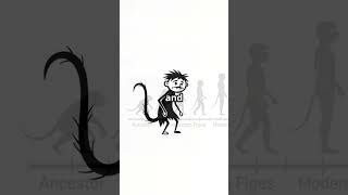 Why Did Humans Lose Their Tails? 🦴   #science #facts #geography