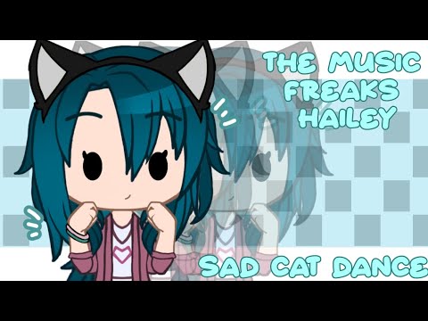 🖤Sad Cat Dance💓 MEME, Ft. The Music Freaks