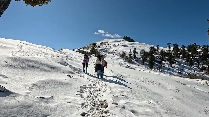 Part 14 | Starting Trek from Barnala Base Camp to Summit | Winter Trek to Dyara Bugyal