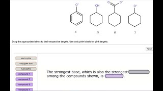 Drag the appropriate labels to their respective targets  Use only pink labels for pink targets  Rese