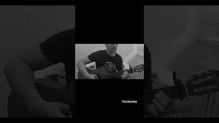 gözyaşına dök yağmuru düş uçacak bahara doğru düş sokağı sakinleri #cover #guitar #music #shorts