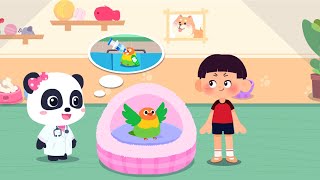 🐱 Pet Care Center & House Decoration - Babybus games by KidsBabyBus HD 3,622 views 2 months ago 11 minutes, 30 seconds