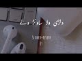 Dilary wala sawirn waly saraiki song by baloch graphy 