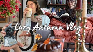 видео: Уютный осенний видеоблог 🍄🍂📚 Декорирование и покупки на осень, экономия, покупка товаров от Trade... картинка: Уютный осенний видеоблог 🍄🍂📚 Декорирование и покупки на осень, экономия, покупка товаров от Trade...