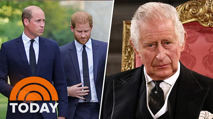 William And Harry's Reunion Was The Kings Desire, ...