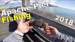 Myrtle Beach Pier Fishing (Apache Pier)