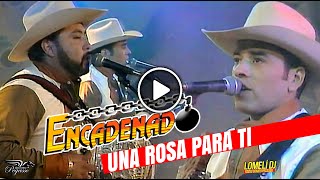 1994 - Una Rosa Para Ti - Grupo ENCADENADO - En Vivo - Lalo Banda -